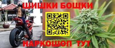 стафф Белореченск
