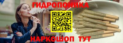 соль ск Бердск