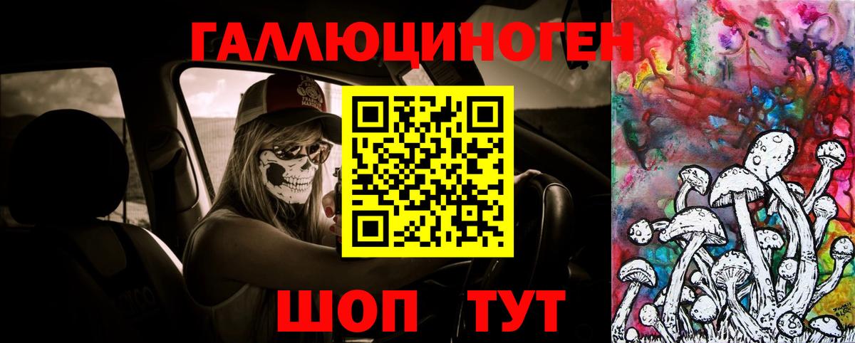 Псилоцибиновые грибы мицелий Великий Устюг